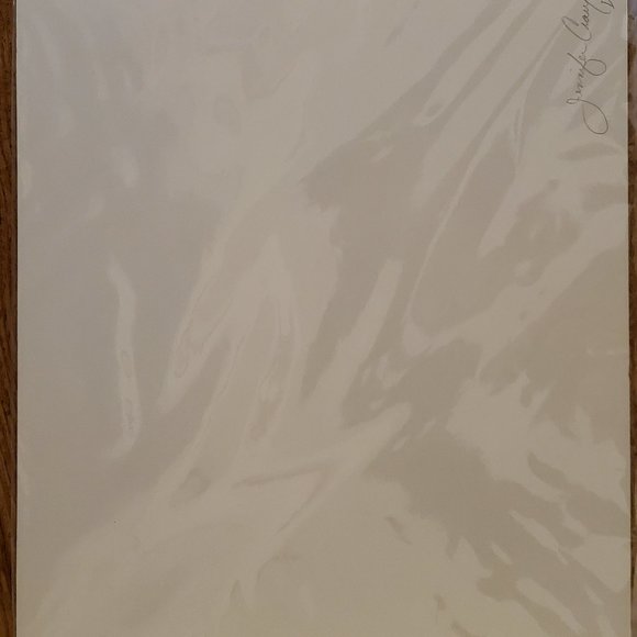 Hibiscus Photo in Cardboard Frame by Jennifer Crawford 2007 - Picture 4 of 4